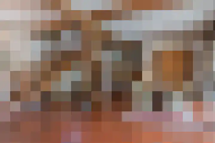 Fort Forelstraat 3 Stevensweert thumbnail 20