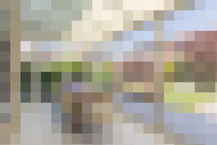 Fort Forelstraat 3 Stevensweert thumbnail 31