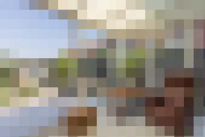 Fort Forelstraat 3 Stevensweert thumbnail 32