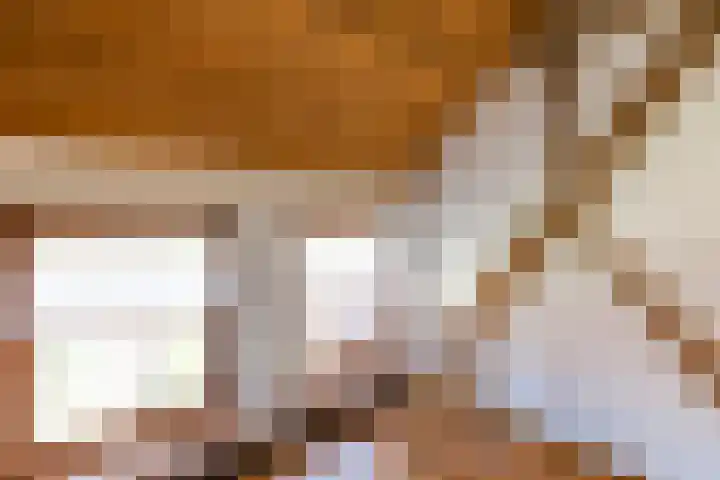 Fort Forelstraat 3 Stevensweert thumbnail 37