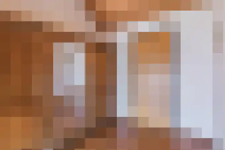 Fort Forelstraat 3 Stevensweert thumbnail 38