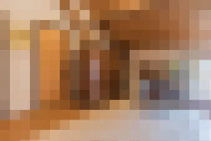 Fort Forelstraat 3 Stevensweert thumbnail 39