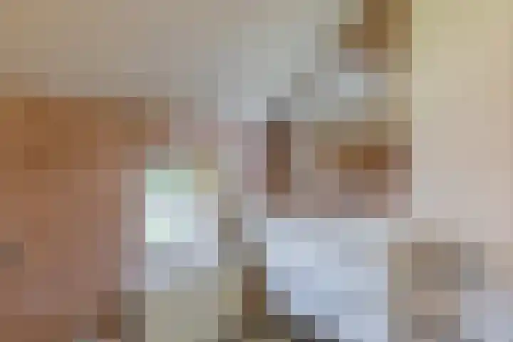 Fort Forelstraat 3 Stevensweert thumbnail 45