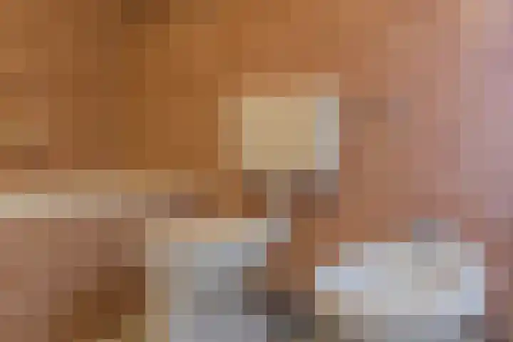 Fort Forelstraat 3 Stevensweert thumbnail 48