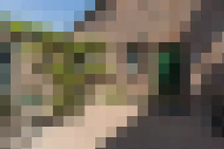 Fort Forelstraat 3 Stevensweert thumbnail 5