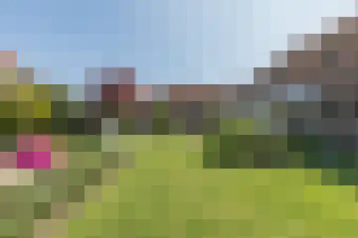 Fort Forelstraat 3 Stevensweert thumbnail 52