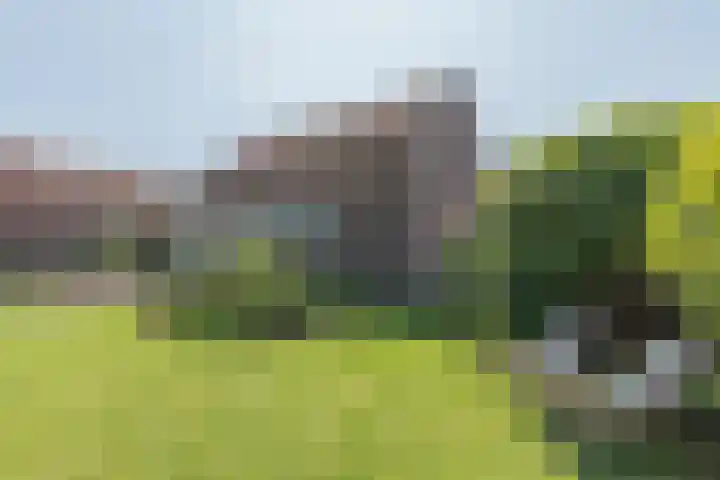 Fort Forelstraat 3 Stevensweert thumbnail 53