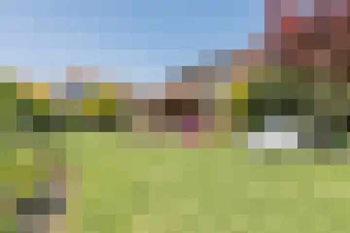 Fort Forelstraat 3 Stevensweert thumbnail 55