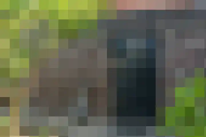 Fort Forelstraat 3 Stevensweert thumbnail 6