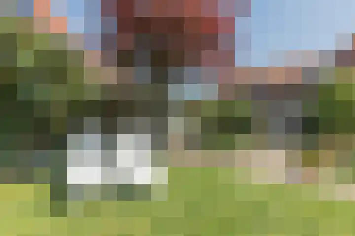Fort Forelstraat 3 Stevensweert thumbnail 60