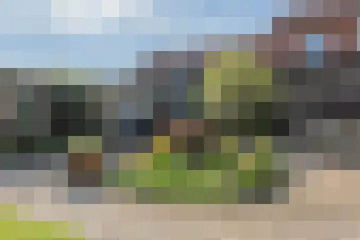 Fort Forelstraat 3 Stevensweert thumbnail 64