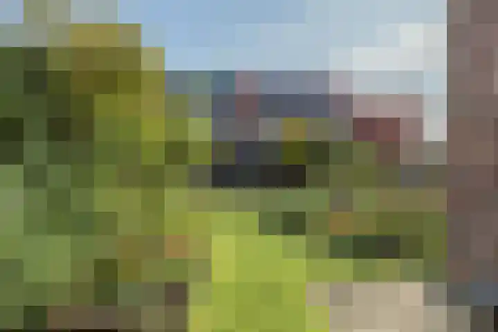 Fort Forelstraat 3 Stevensweert thumbnail 66