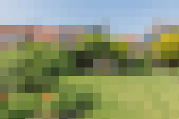Fort Forelstraat 3 Stevensweert thumbnail 68