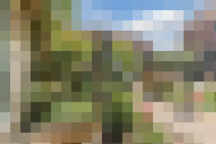 Fort Forelstraat 3 Stevensweert thumbnail 69