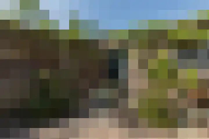 Fort Forelstraat 3 Stevensweert thumbnail 7