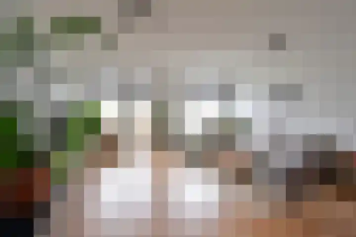 Fort Heemstedestraat 123 Weesp thumbnail 6