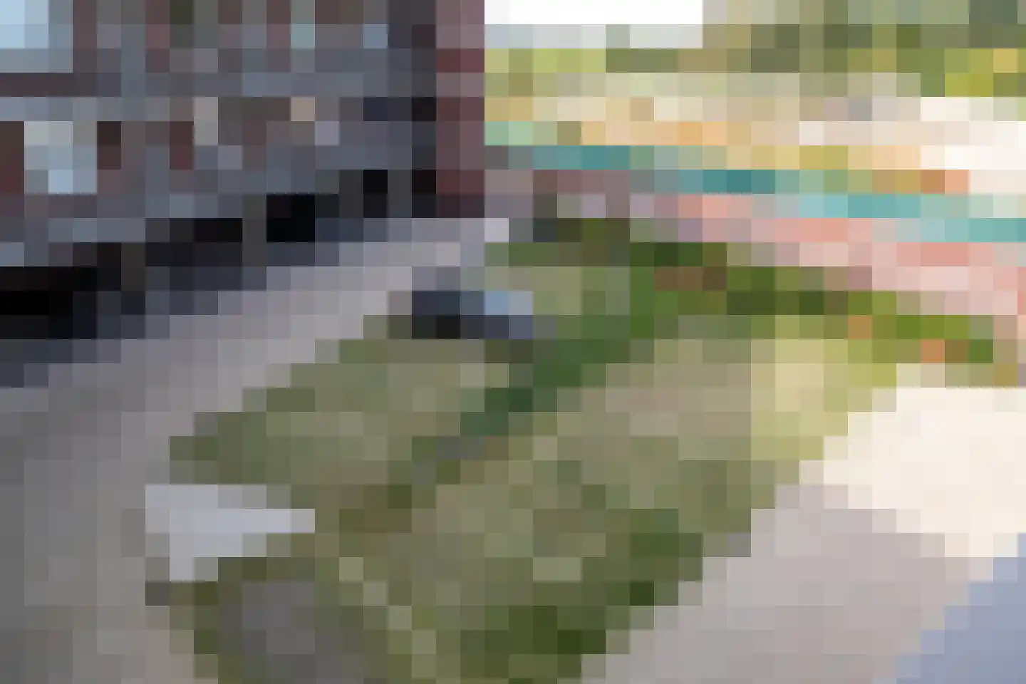 Fort Heemstedestraat 159 Weesp thumbnail 24