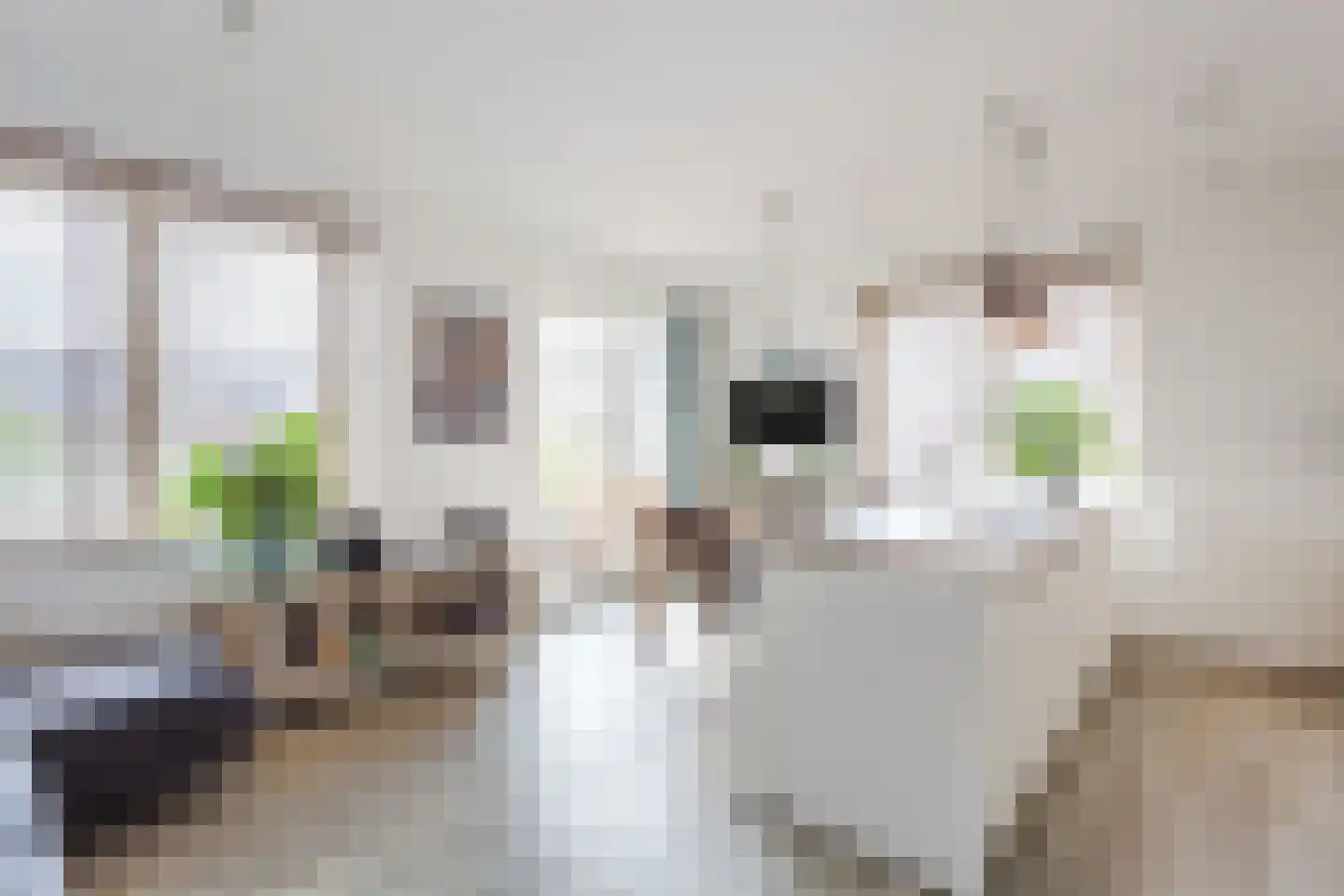 Fort Heemstedestraat 5 a Weesp thumbnail 11