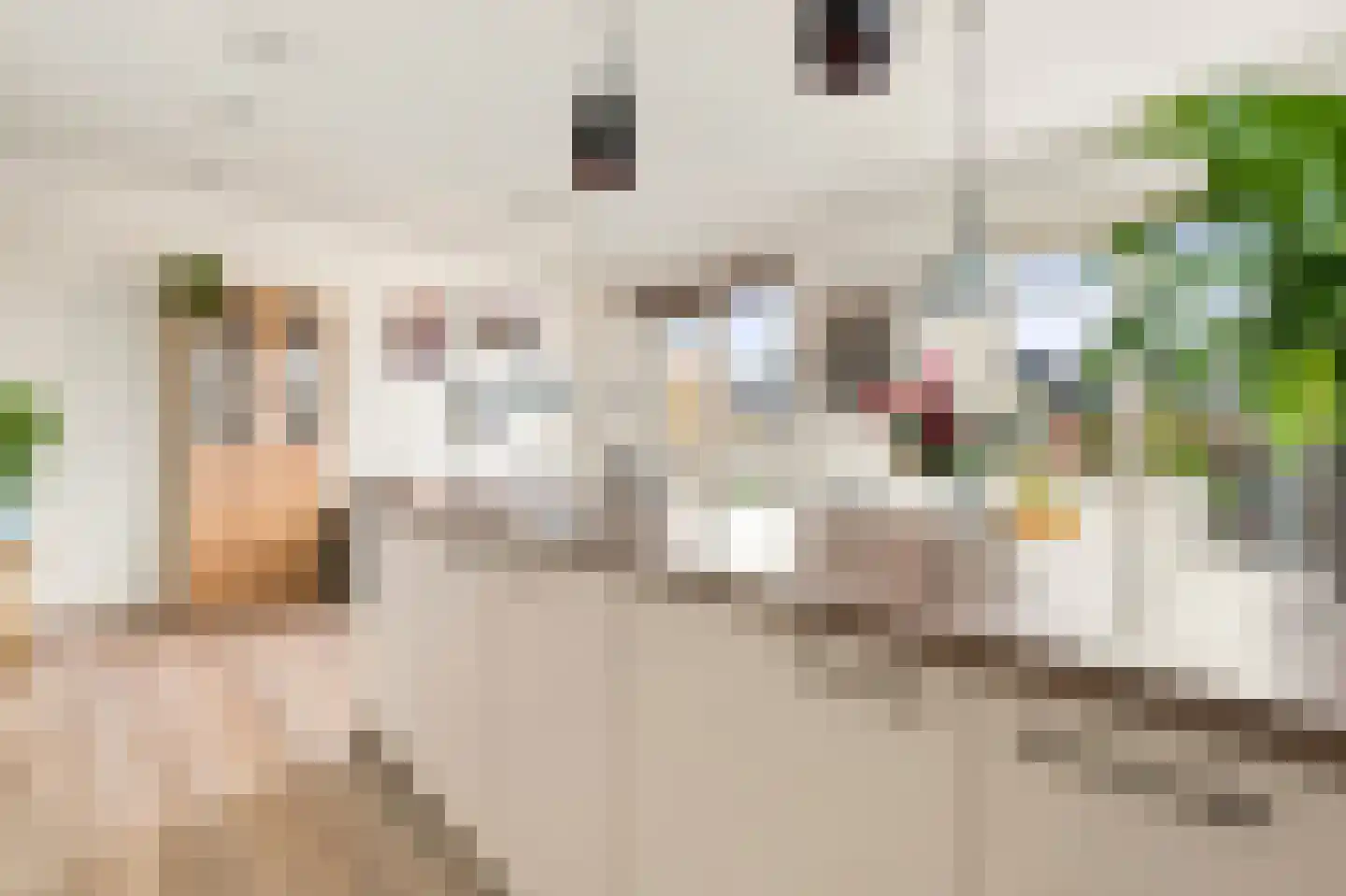 Fort Heemstedestraat 5 a Weesp thumbnail 6
