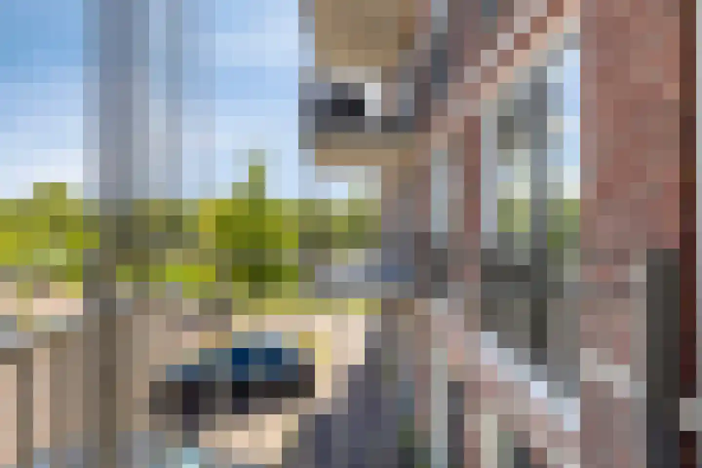 Fort Heemstedestraat 83 Weesp thumbnail 20
