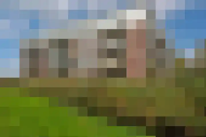 Fort Heemstedestraat 93 Weesp thumbnail 4