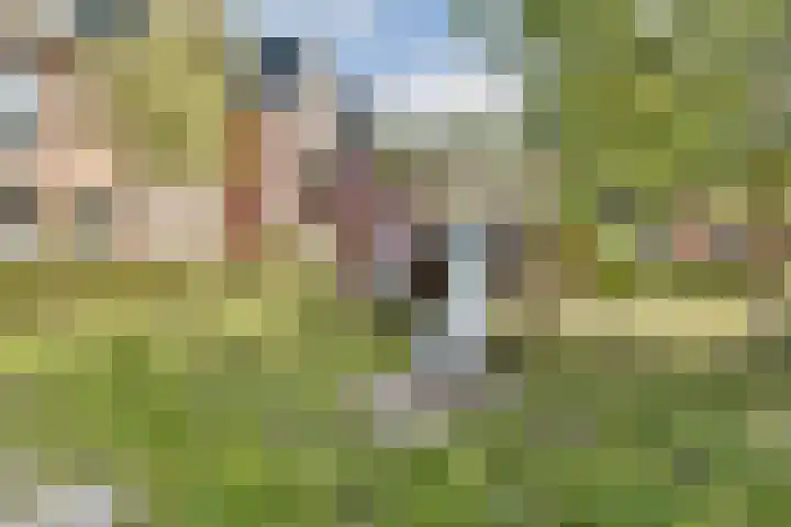 Fort Hinderdamstraat 129 Weesp thumbnail 37