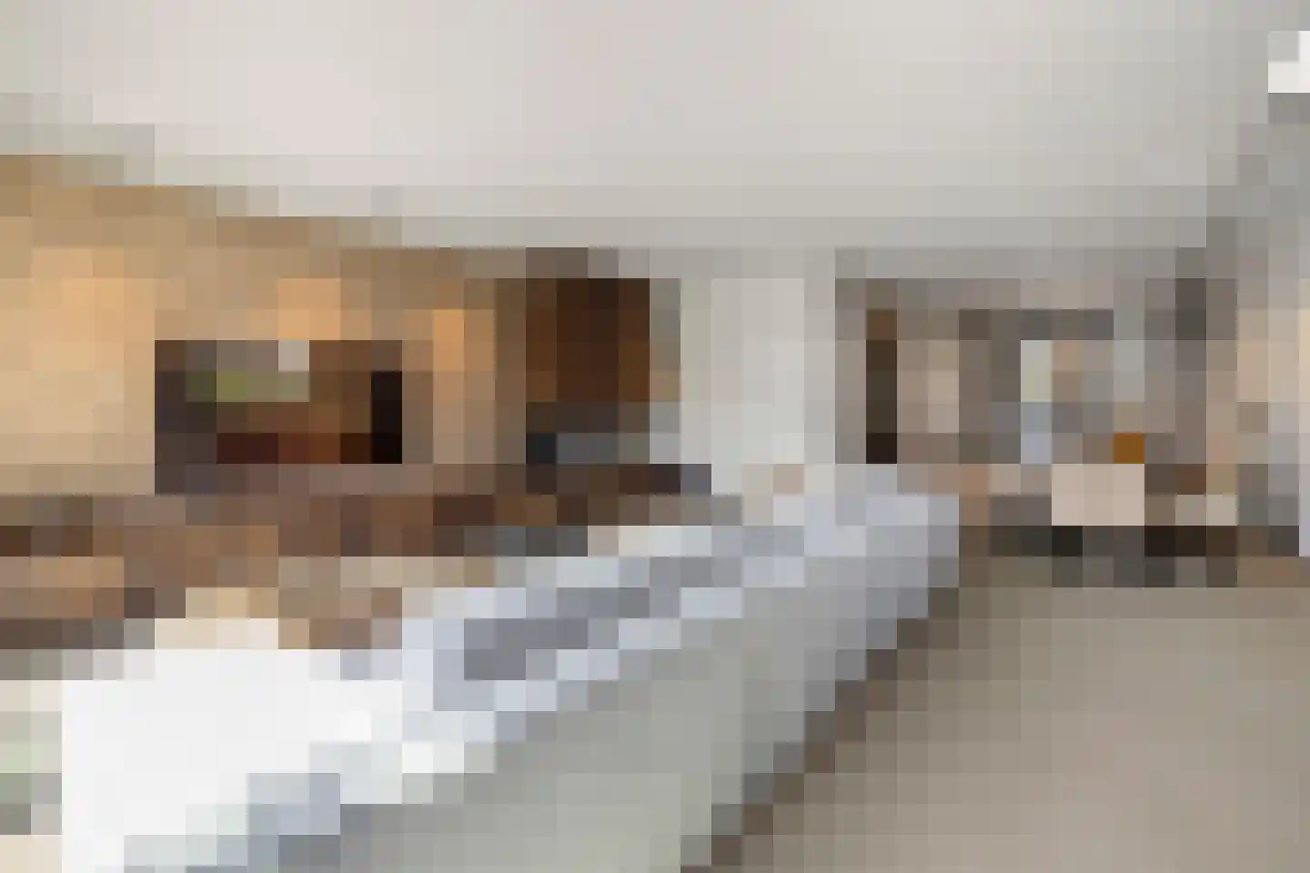 Fort Hinderdamstraat 61 Weesp thumbnail 14