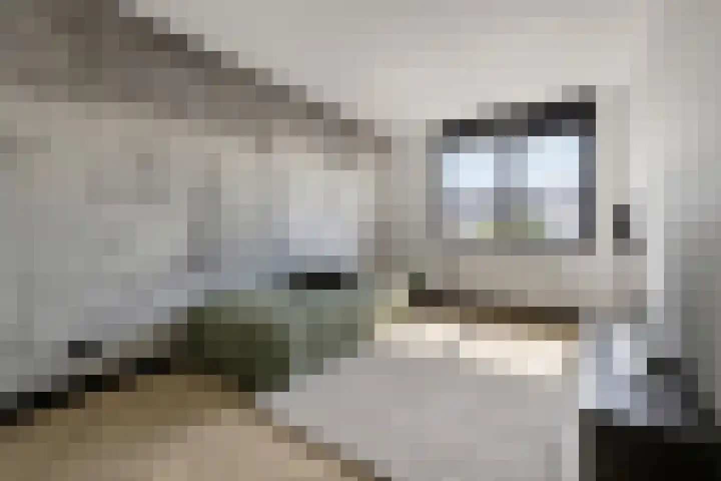 Fort Hinderdamstraat 61 Weesp thumbnail 23