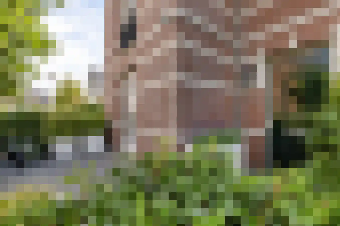 Fort Hinderdamstraat 61 Weesp thumbnail 6