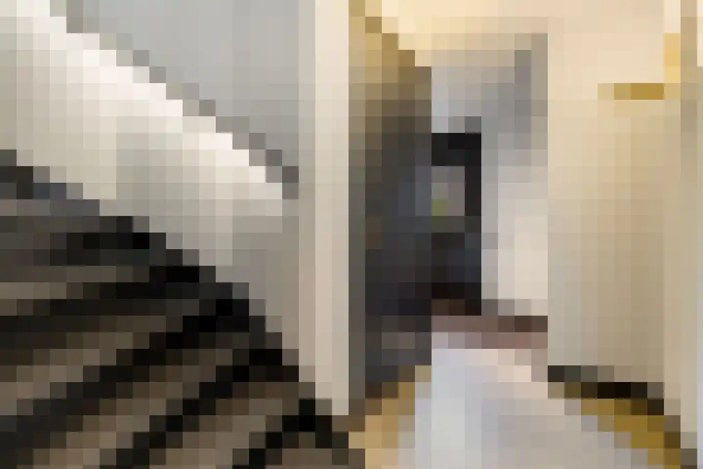 Fort Hinderdamstraat 61 Weesp thumbnail 7