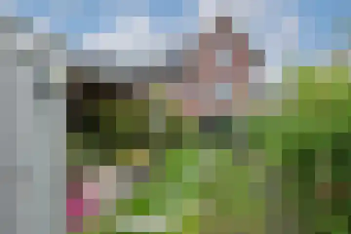 Fort Hinderdamstraat 93 Weesp thumbnail 45