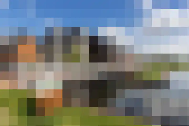 Fort Hinderdamstraat 97 Weesp thumbnail 43