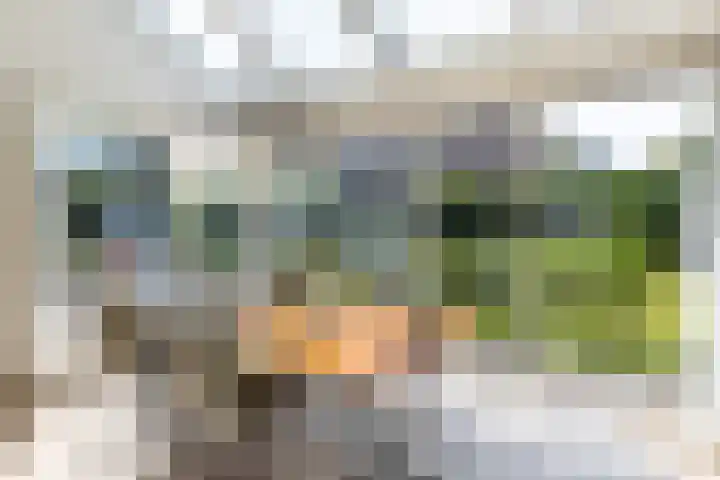 Fort Oranje 14 Woerden thumbnail 16