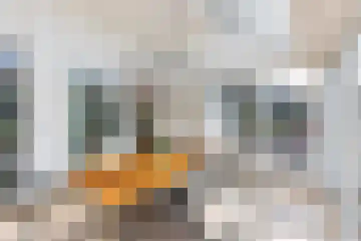 Fort Oranje 14 Woerden thumbnail 17