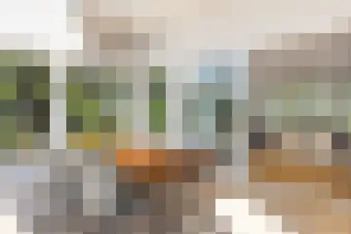 Fort Oranje 14 Woerden thumbnail 18