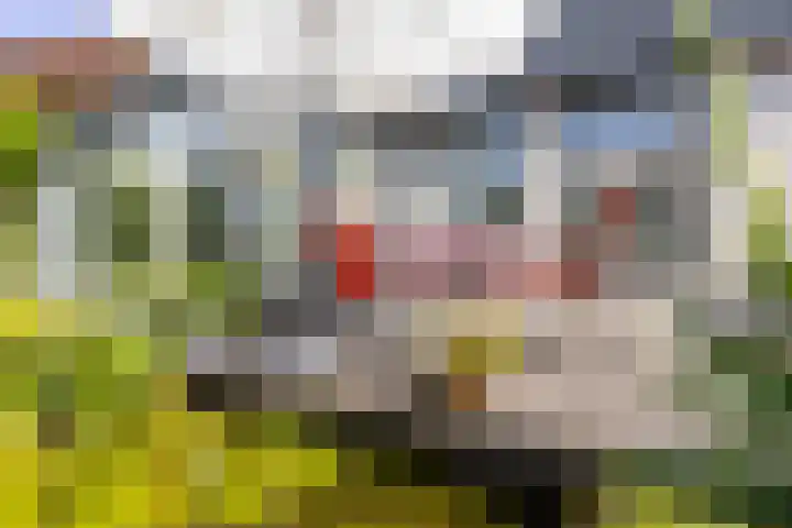 Fort Oranje 14 Woerden thumbnail 20