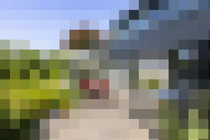 Fort Oranje 14 Woerden thumbnail 22