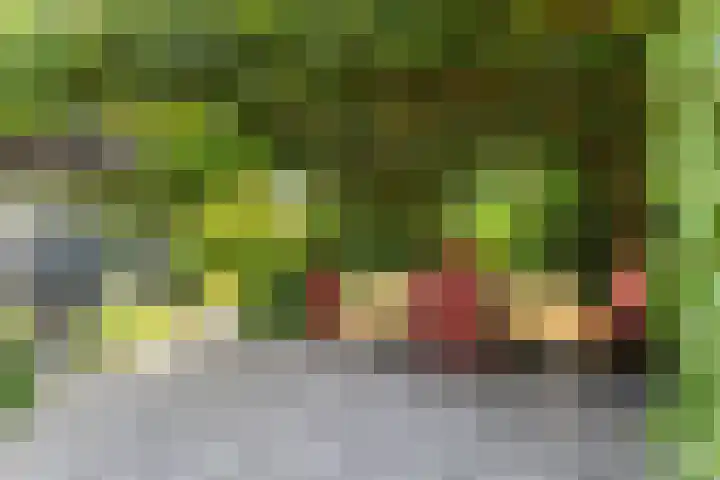 Fort Oranje 14 Woerden thumbnail 23