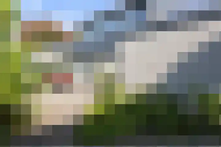 Fort Oranje 14 Woerden thumbnail 25