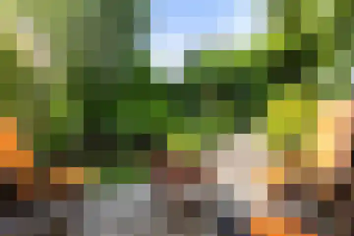 Fort Oranje 14 Woerden thumbnail 27