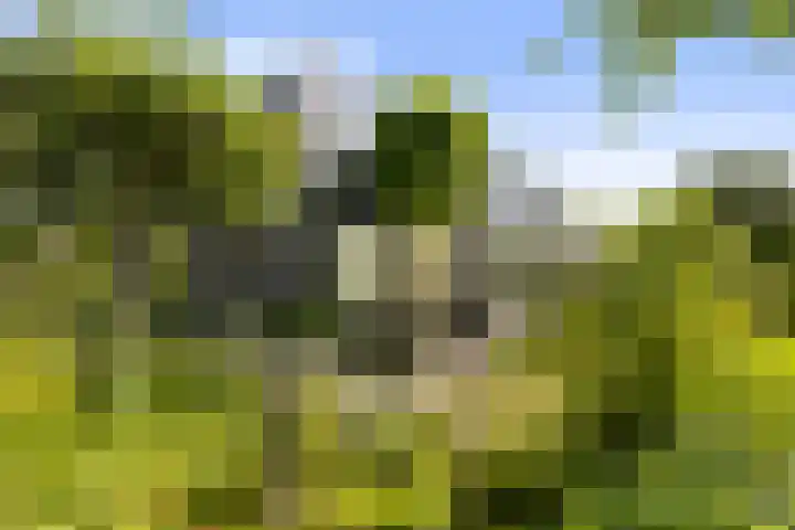 Fort Oranje 14 Woerden thumbnail 28