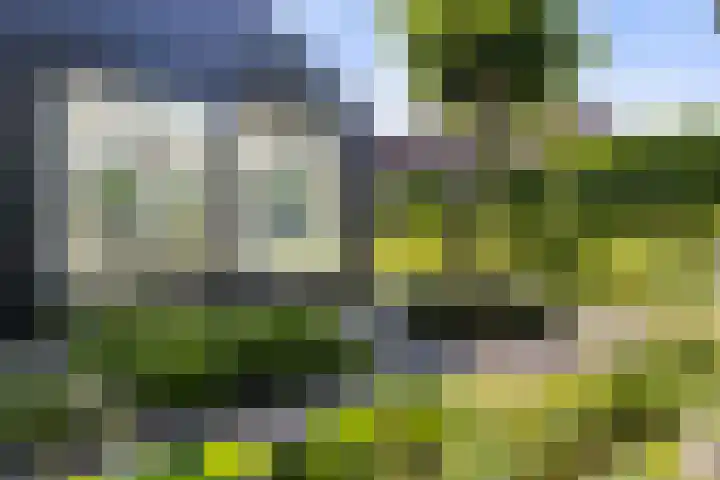 Fort Oranje 14 Woerden thumbnail 30