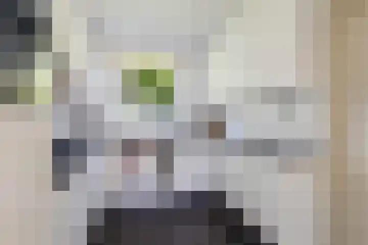 Fort Oranje 14 Woerden thumbnail 34