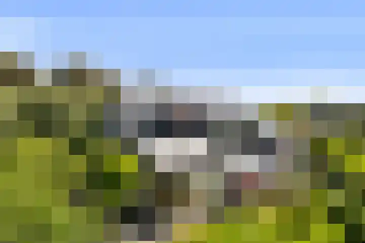 Fort Oranje 14 Woerden thumbnail 54