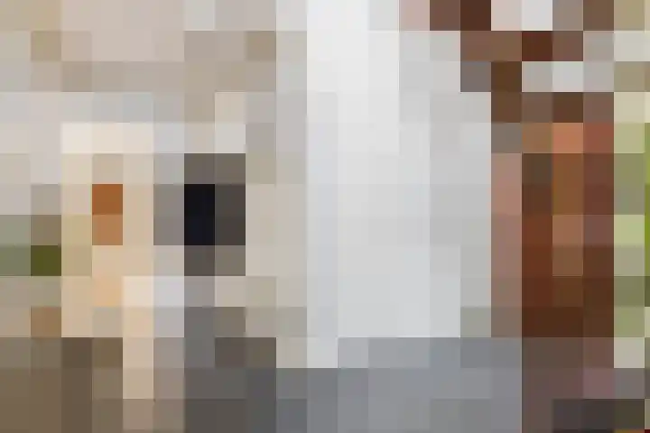 Fort Oranje 14 Woerden thumbnail 6