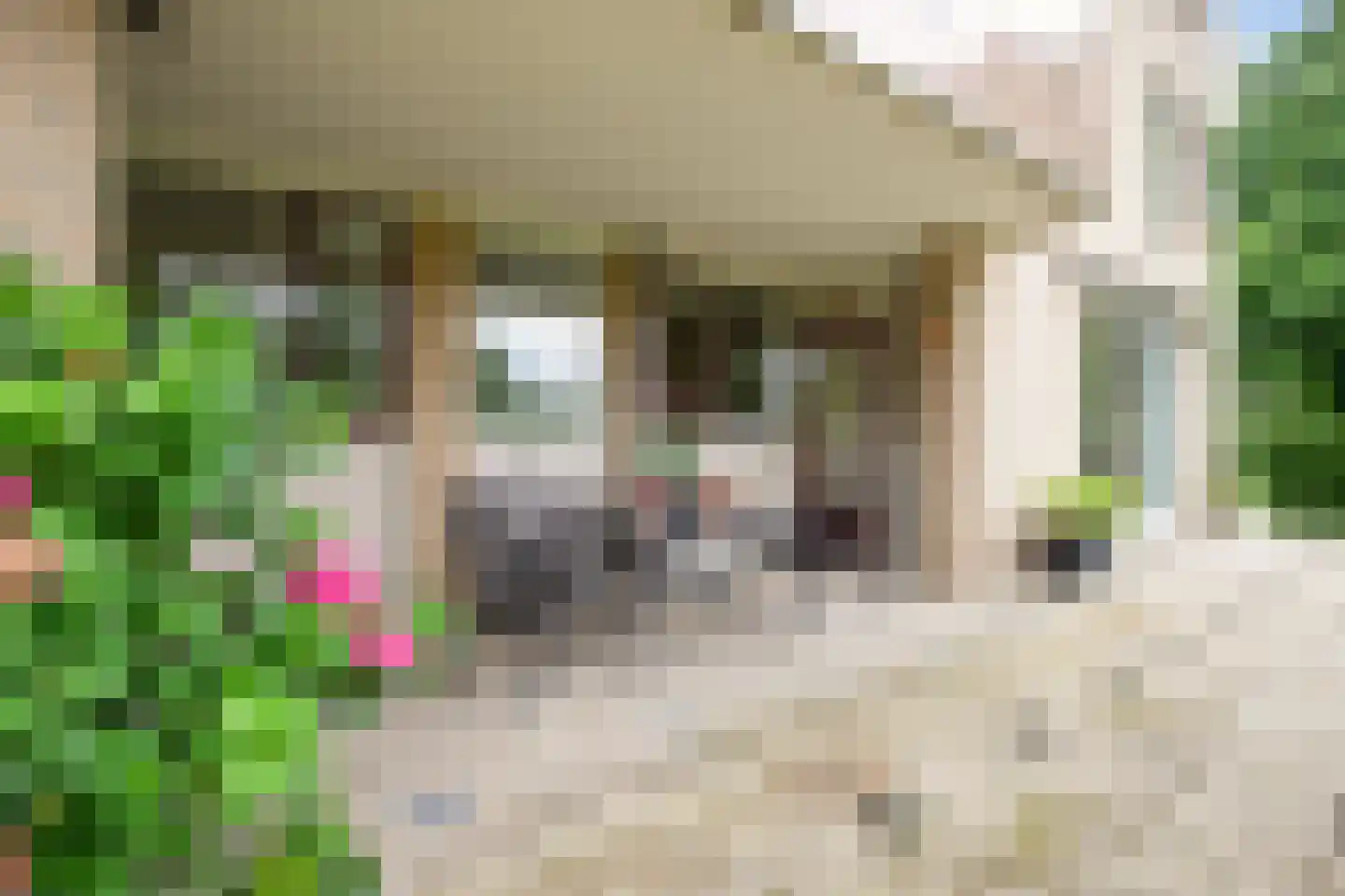 Fort Oranje 51 Woerden thumbnail 22