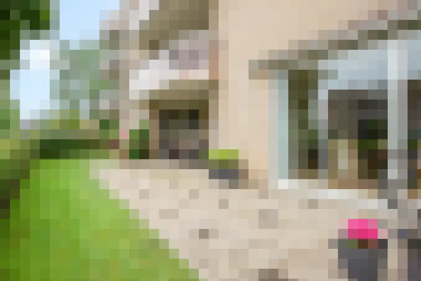 Fort Oranje 51 Woerden thumbnail 23