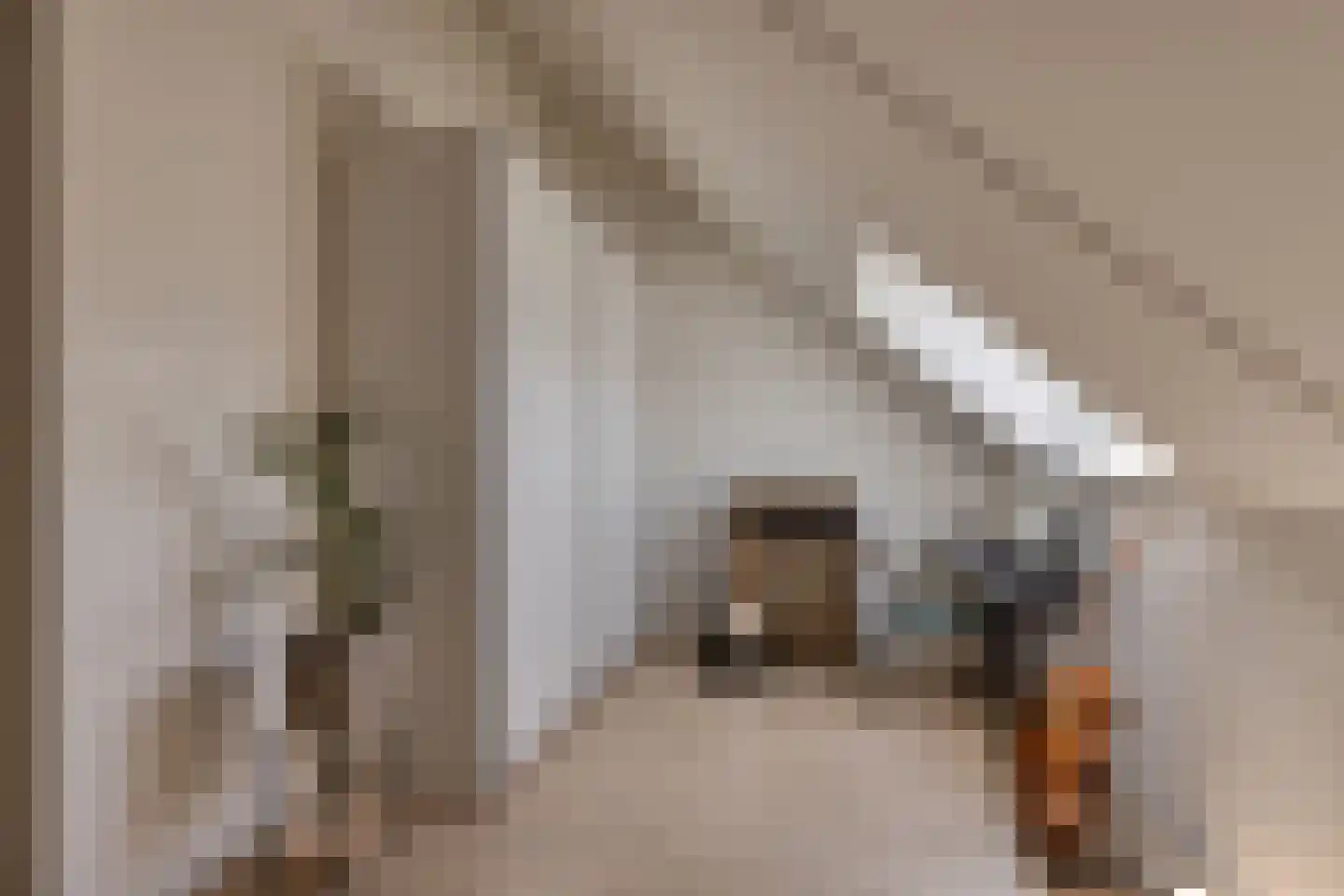 Fort Rhijnauwenhof 4 Weesp thumbnail 31