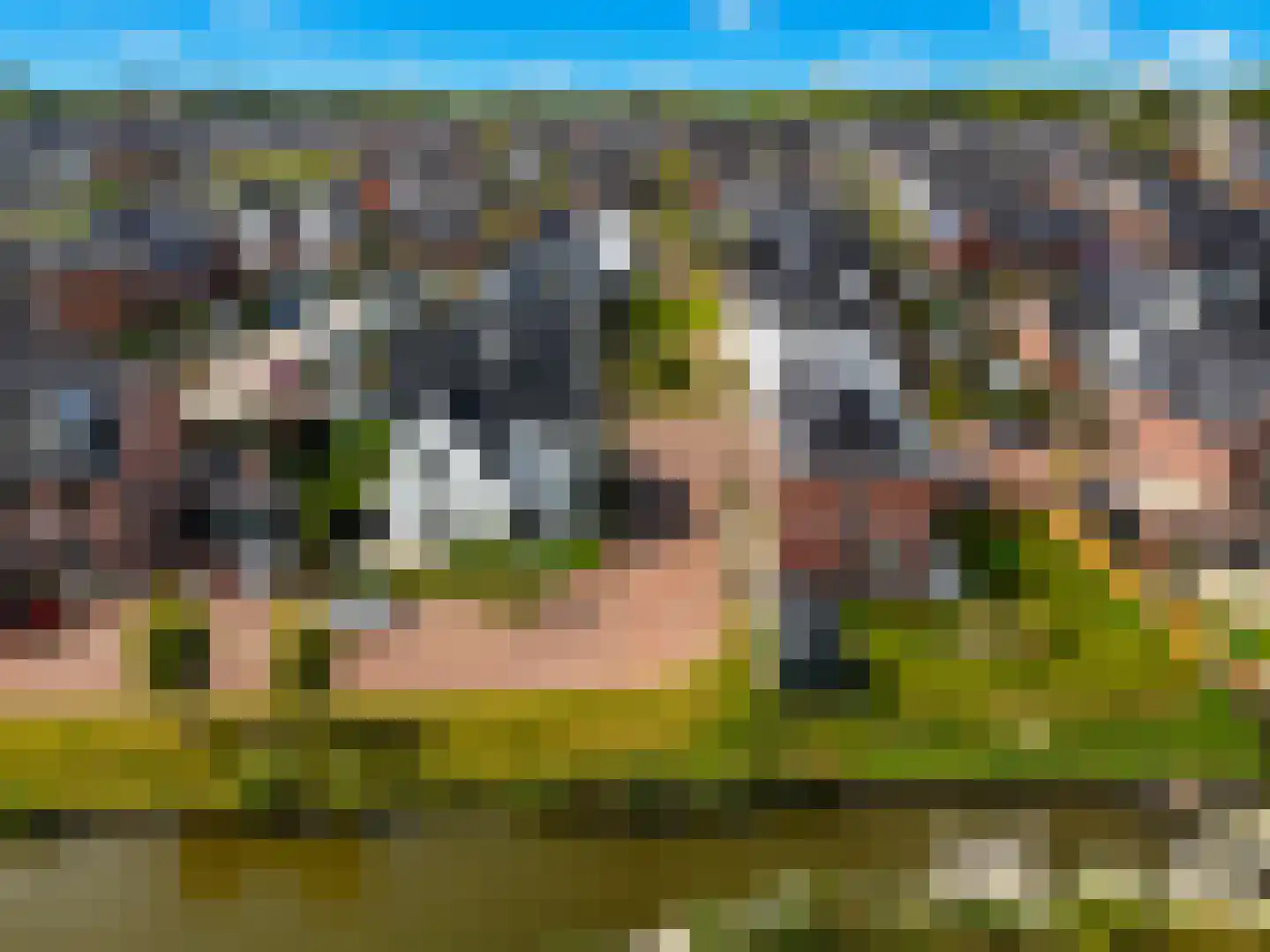 Fort Rhijnauwenhof 4 Weesp thumbnail 4