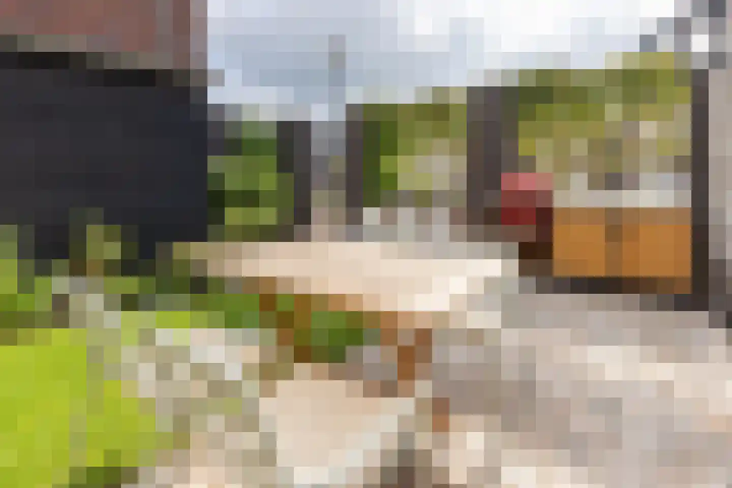 Fort Ronduitlaan 1 Weesp thumbnail 22